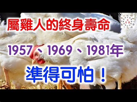 81年次屬猴|民國81年是西元幾年？民國81年是什麼生肖？民國81年幾歲？